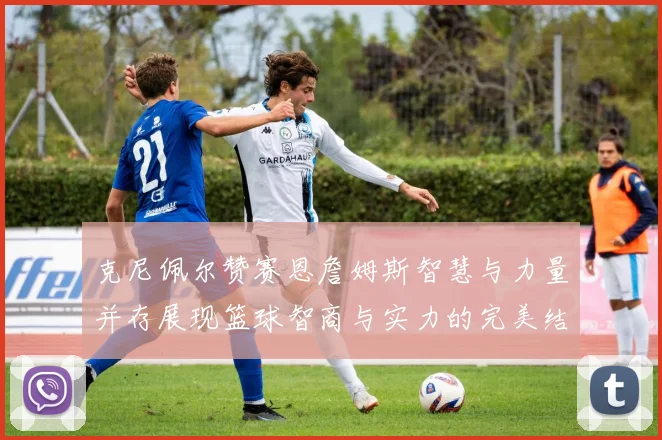 克尼佩尔赞赛恩詹姆斯智慧与力量并存展现篮球智商与实力的完美结合