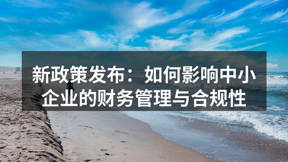 新政策发布：如何影响中小企业的财务管理与
