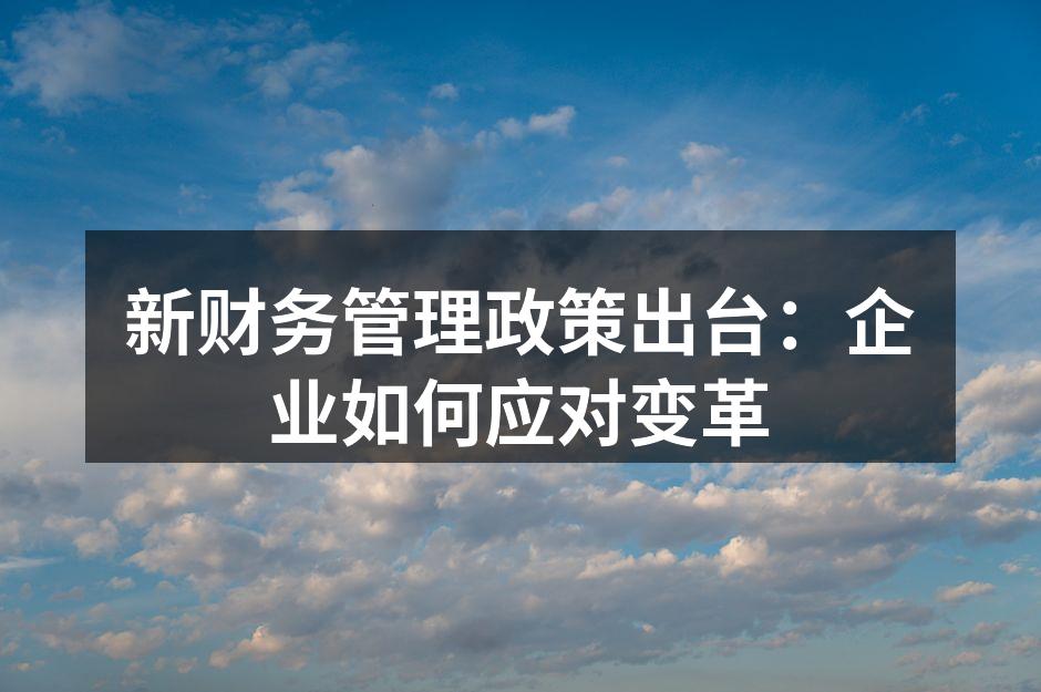 新财务管理政策出台：企业如何应对变革