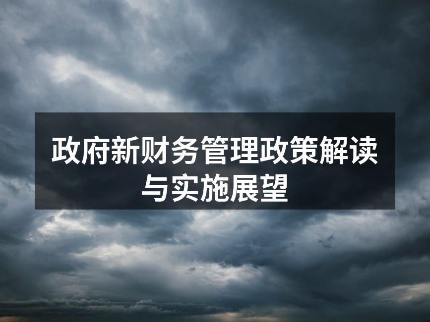 政府新财务管理政策解读与实施展望