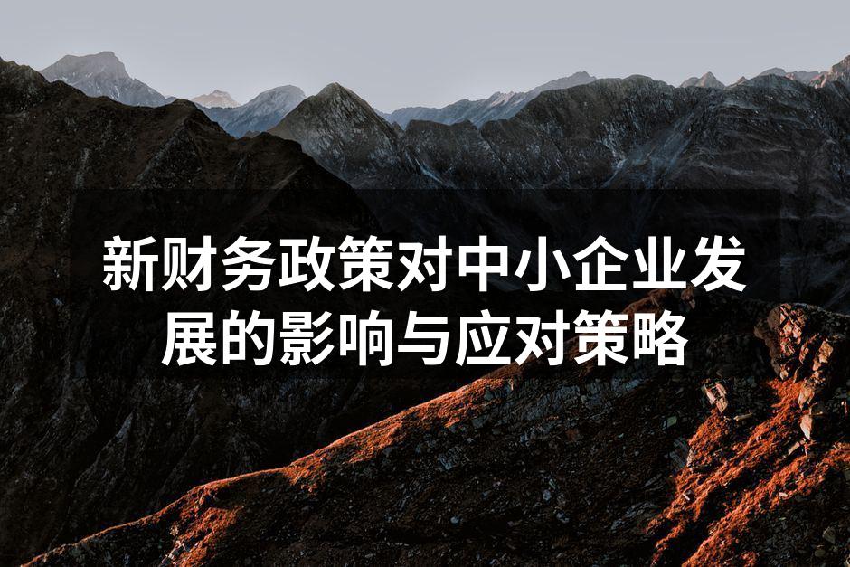 新财务政策对中小企业发展的影响与应对策略