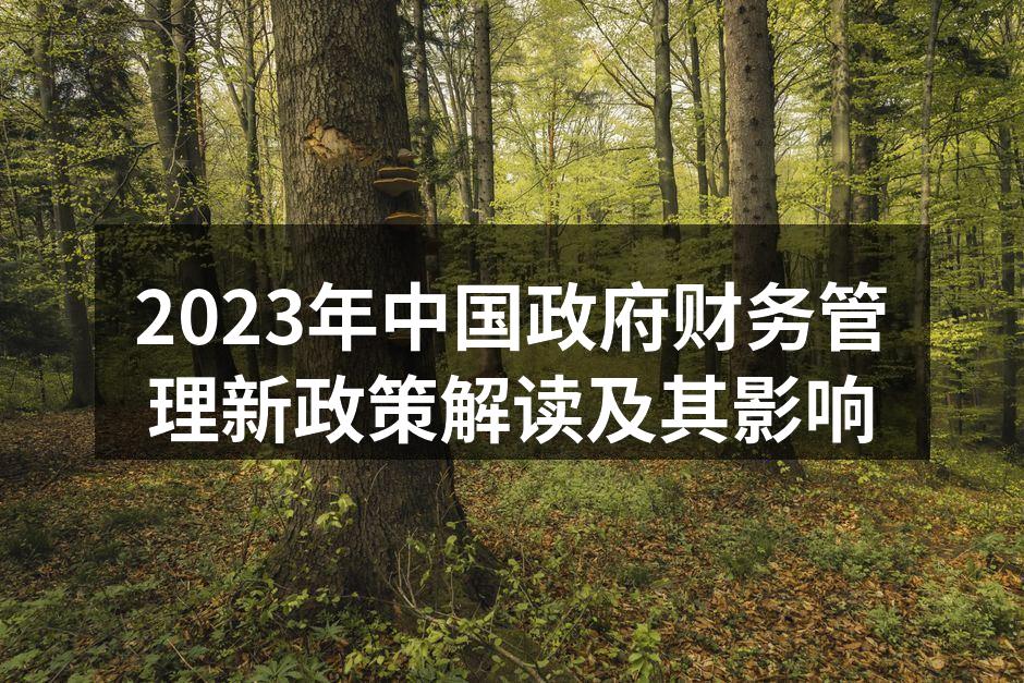 2023年中国政府财务管理新政策解读及其