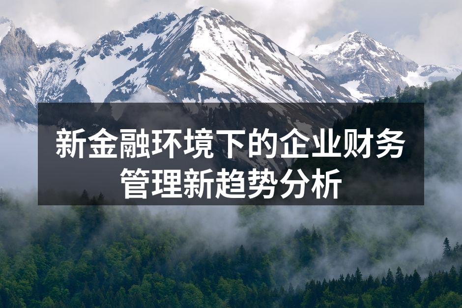 新金融环境下的企业财务管理新趋势分析